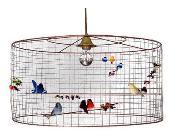 "bird cage light conran shop"