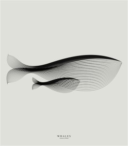 "whale poster whale art"