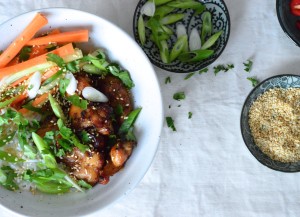 vietnamese grilled chicken and rice recipe