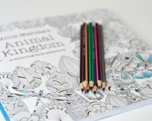 intricate colouring books for adults